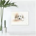 Picture of Cute Puppy _GroupedProduct_Rectangle_Landscape_Unframed_Print_Only_