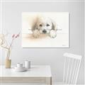 Picture of Cute Puppy _GroupedProduct_Rectangle_Landscape_Unframed_Print_Only_