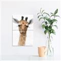 Picture of Nursery Giraffe _GroupedProduct_Rectangle_Portrait_Unframed_Print_Only_