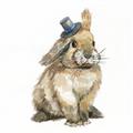 Picture of Baby Brown Bunny _GroupedProduct_Square_Mini_ _GroupedProduct_Square_Unframed_Print_Only_