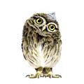Picture of Princess Owl _GroupedProduct_Square_Mini_ _GroupedProduct_Square_Unframed_Print_Only_