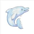 Picture of Blue Dolphin _GroupedProduct_Square_Mini_ _GroupedProduct_Square_Unframed_Print_Only_