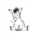 Picture of Baby Zebra _GroupedProduct_Square_Mini_ _GroupedProduct_Square_Unframed_Print_Only_