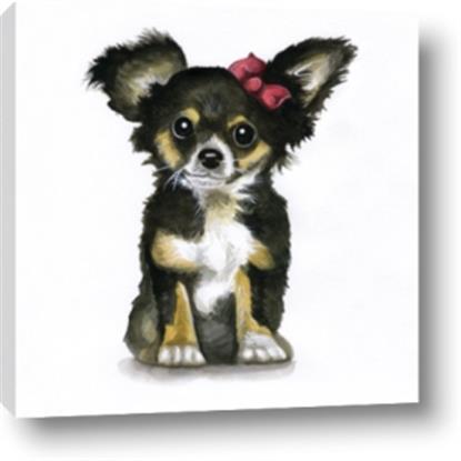 Picture of Pink Bow Chihuahua