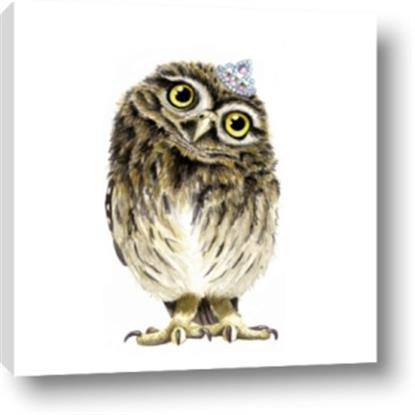 Picture of Princess Owl