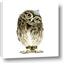 Picture of Princess Owl
