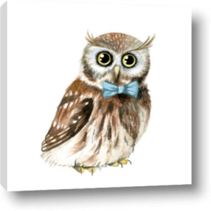 Picture of Oliver The Owl