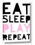 Picture of Eat Sleep Play Repeat Pink