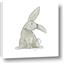 Picture of Baby Rabbit