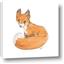 Picture of Baby Fox