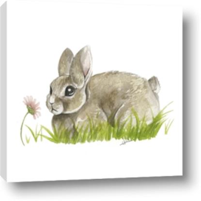 Picture of Bunny in grass