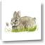 Picture of Bunny in grass