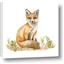 Picture of Fox in grass