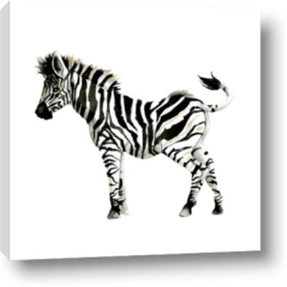 Picture of Little Zebra