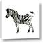 Picture of Little Zebra