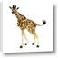 Picture of Little Giraffe
