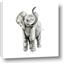 Picture of Little Elephant