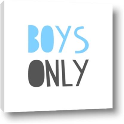 Picture of Boys Only Blue