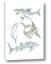 Picture of Sharks