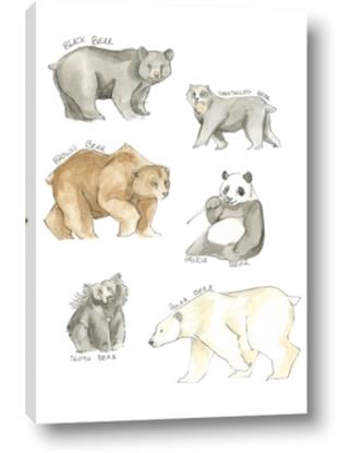 Picture of Bears
