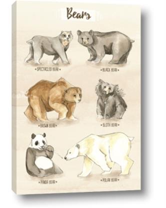 Picture of Bears Chart