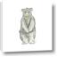 Picture of Little Bear