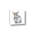 Picture of Baby Grey Bunny _GroupedProduct_Square_Mini_ _GroupedProduct_Square_Canvas_