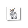 Picture of Baby Grey Bunny _GroupedProduct_Square_Mini_ _GroupedProduct_Square_Canvas_