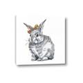 Picture of Baby Grey Bunny _GroupedProduct_Square_Mini_ _GroupedProduct_Square_Canvas_
