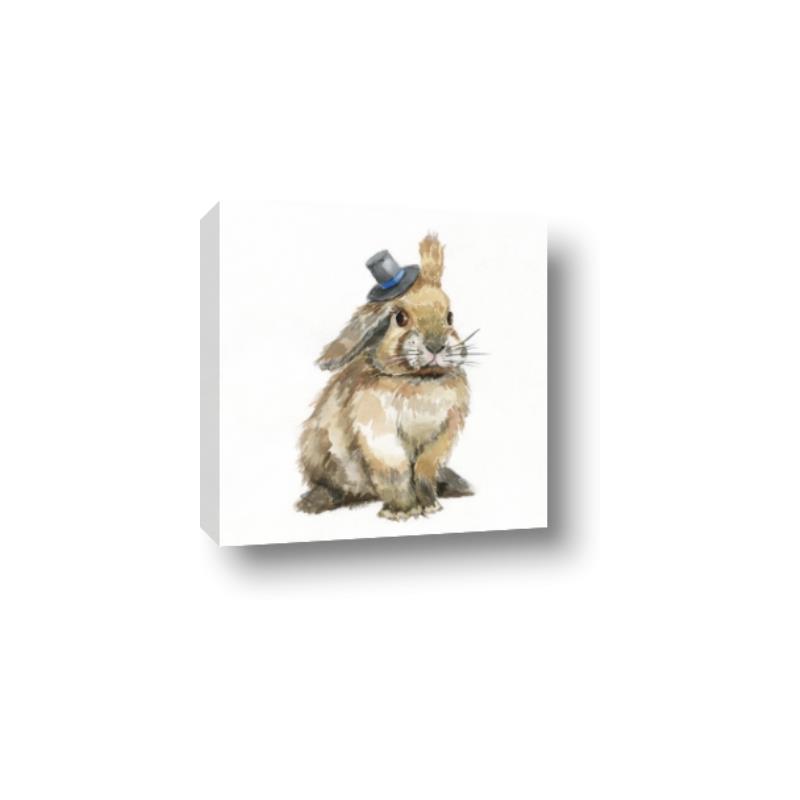 Picture of Baby Brown Bunny _GroupedProduct_Square_Mini_ _GroupedProduct_Square_Canvas_