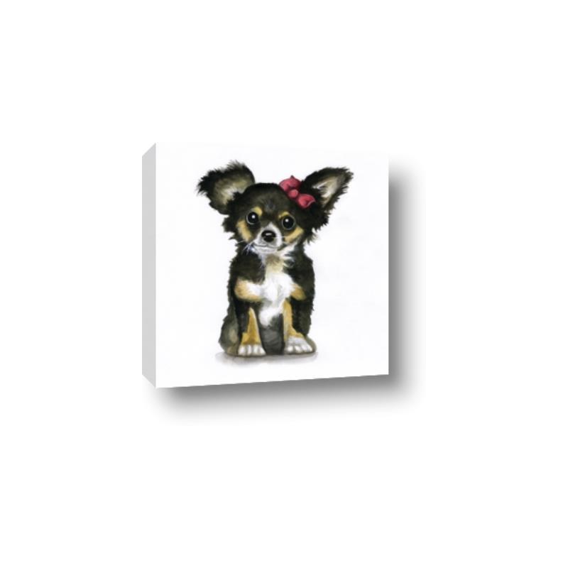 Picture of Pink Bow Chihuahua  _GroupedProduct_Square_Mini_ _GroupedProduct_Square_Canvas_