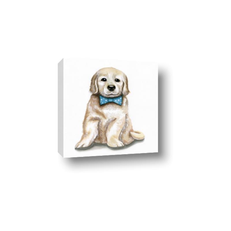 Picture of Bow Tie Golden  _GroupedProduct_Square_Mini_ _GroupedProduct_Square_Canvas_