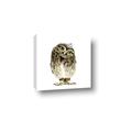 Picture of Princess Owl _GroupedProduct_Square_Mini_ _GroupedProduct_Square_Canvas_