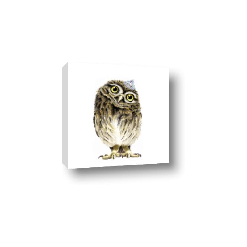 Picture of Princess Owl _GroupedProduct_Square_Mini_ _GroupedProduct_Square_Canvas_