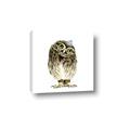 Picture of Princess Owl _GroupedProduct_Square_Mini_ _GroupedProduct_Square_Canvas_
