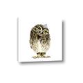 Picture of Princess Owl _GroupedProduct_Square_Mini_ _GroupedProduct_Square_Canvas_