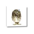 Picture of Princess Owl _GroupedProduct_Square_Mini_ _GroupedProduct_Square_Canvas_