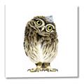 Picture of Princess Owl _GroupedProduct_Square_Mini_ _GroupedProduct_Square_Canvas_