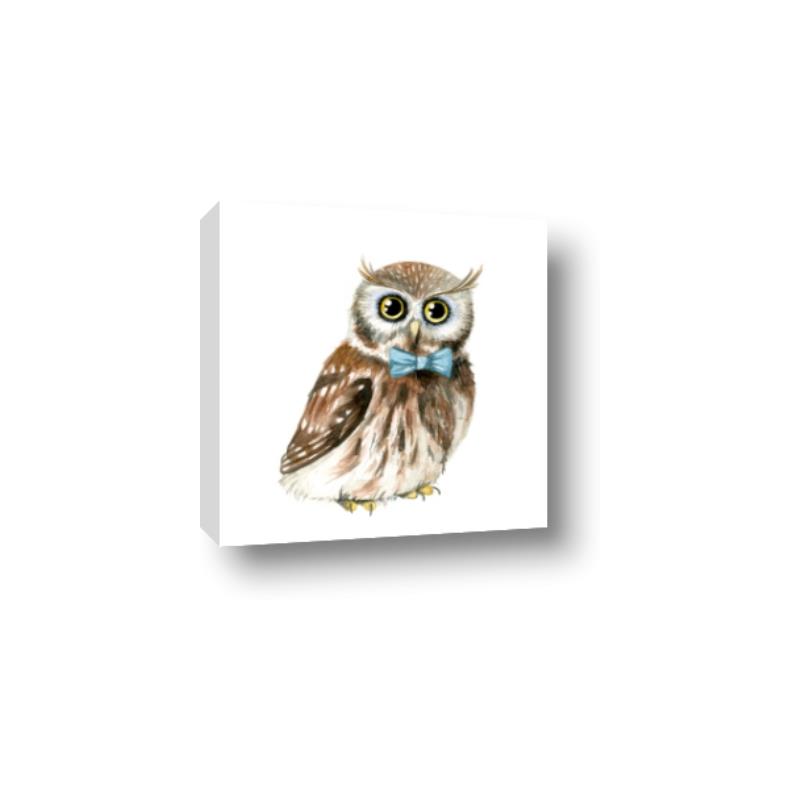 Picture of Oliver The Owl _GroupedProduct_Square_Mini_ _GroupedProduct_Square_Canvas_