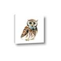 Picture of Oliver The Owl _GroupedProduct_Square_Mini_ _GroupedProduct_Square_Canvas_