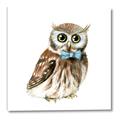 Picture of Oliver The Owl _GroupedProduct_Square_Mini_ _GroupedProduct_Square_Canvas_
