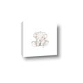 Picture of Baby Elephant _GroupedProduct_Square_Mini_ _GroupedProduct_Square_Canvas_