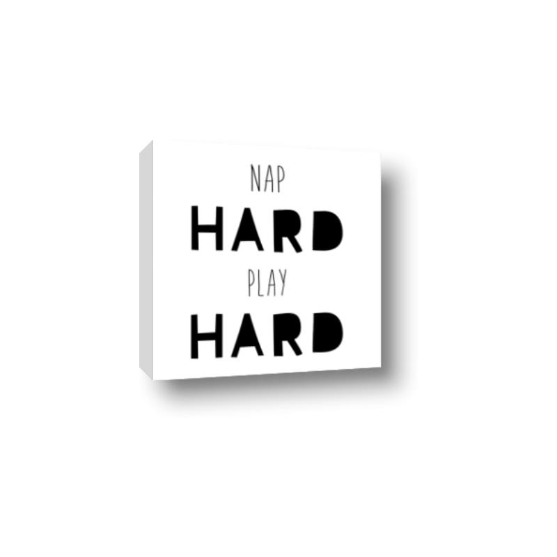 Picture of Nap Hard Play Hard I _GroupedProduct_Square_Mini_ _GroupedProduct_Square_Canvas_