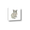 Picture of Baby Raccoon _GroupedProduct_Square_Mini_ _GroupedProduct_Square_Canvas_