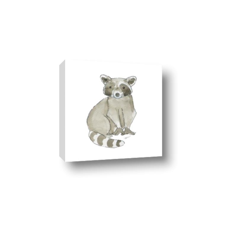 Picture of Baby Raccoon _GroupedProduct_Square_Mini_ _GroupedProduct_Square_Canvas_