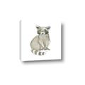 Picture of Baby Raccoon _GroupedProduct_Square_Mini_ _GroupedProduct_Square_Canvas_