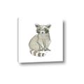 Picture of Baby Raccoon _GroupedProduct_Square_Mini_ _GroupedProduct_Square_Canvas_
