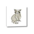 Picture of Baby Raccoon _GroupedProduct_Square_Mini_ _GroupedProduct_Square_Canvas_