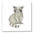 Picture of Baby Raccoon _GroupedProduct_Square_Mini_ _GroupedProduct_Square_Canvas_