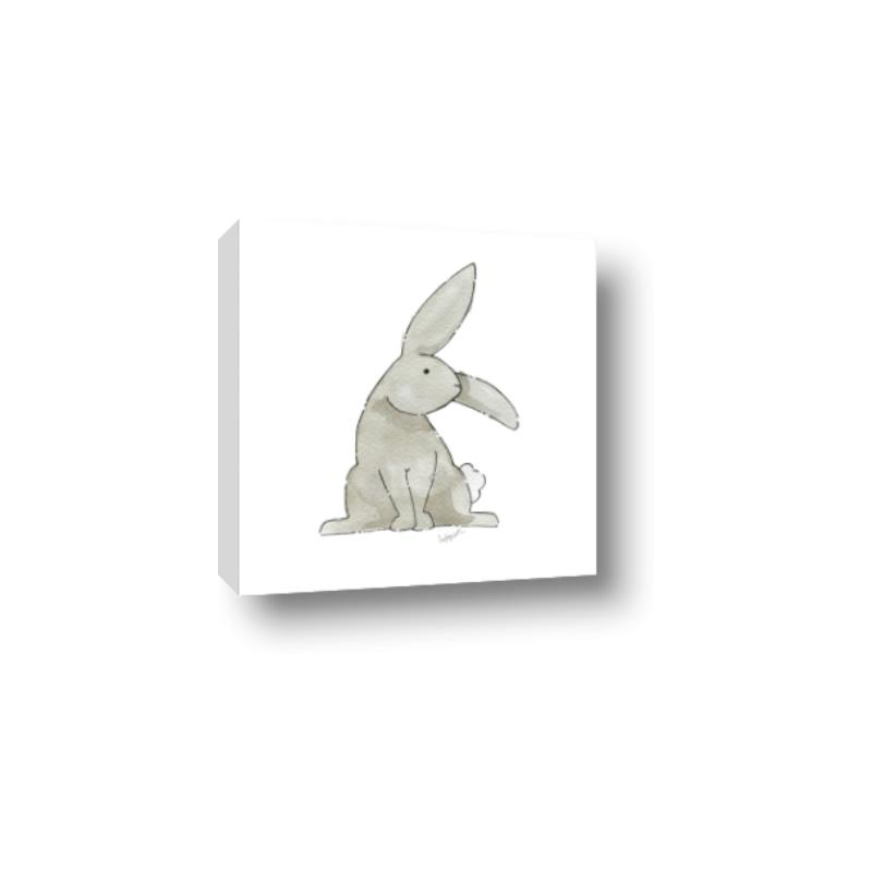 Picture of Baby Rabbit _GroupedProduct_Square_Mini_ _GroupedProduct_Square_Canvas_